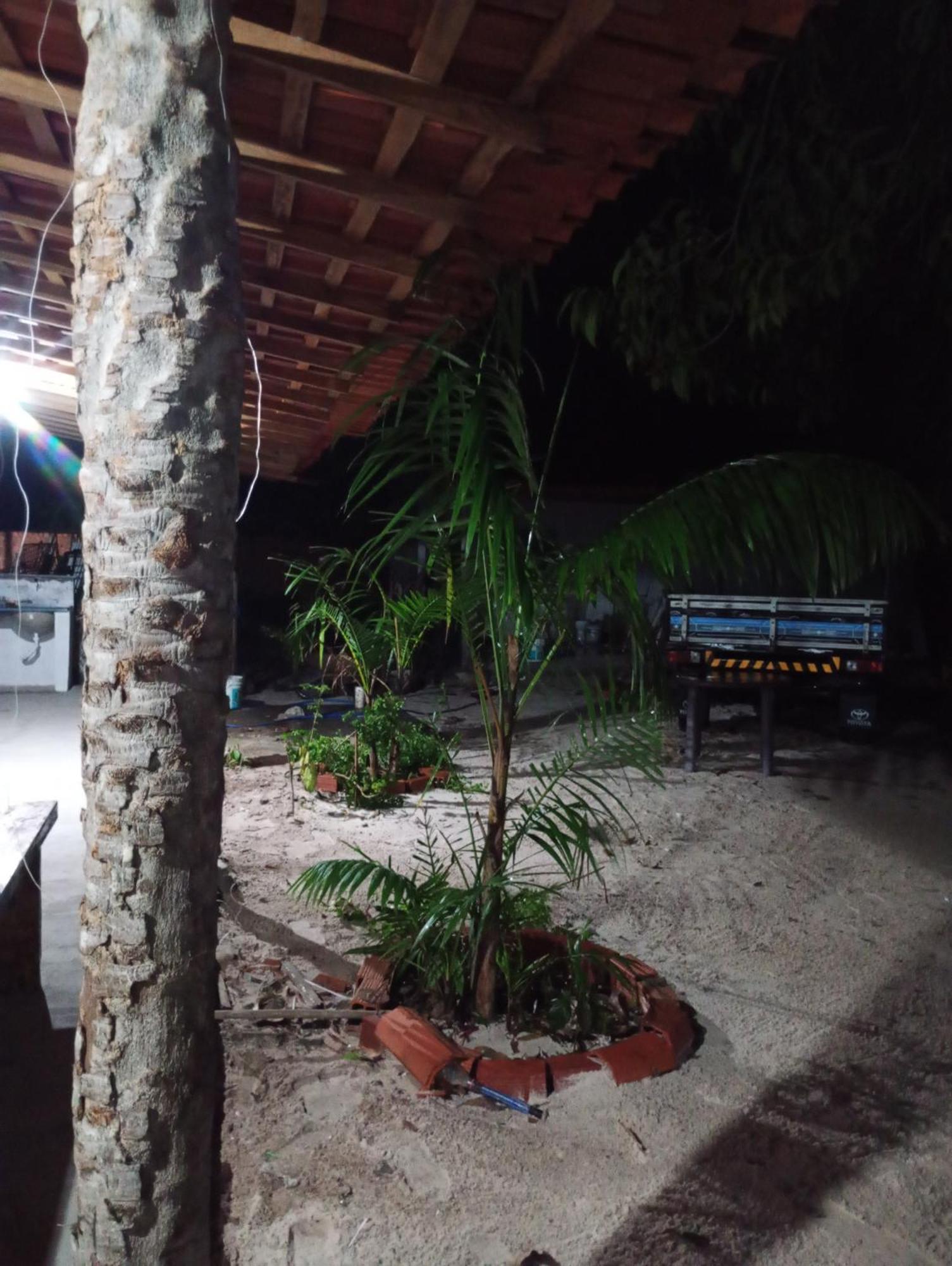 Hostel E Camping Na Rua Das Flores Santo Amaro do Maranhao Dış mekan fotoğraf