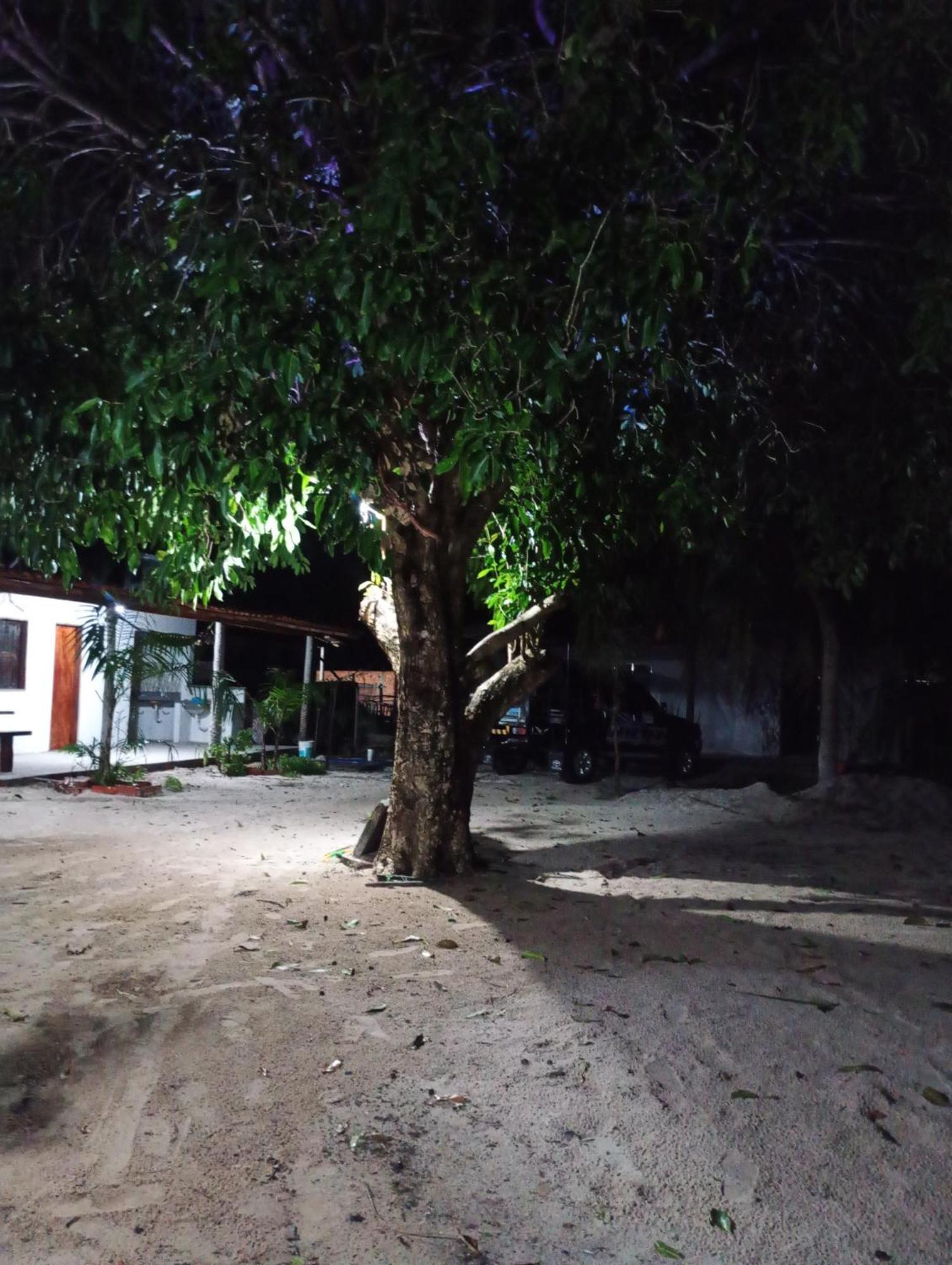 Hostel E Camping Na Rua Das Flores Santo Amaro do Maranhao Dış mekan fotoğraf