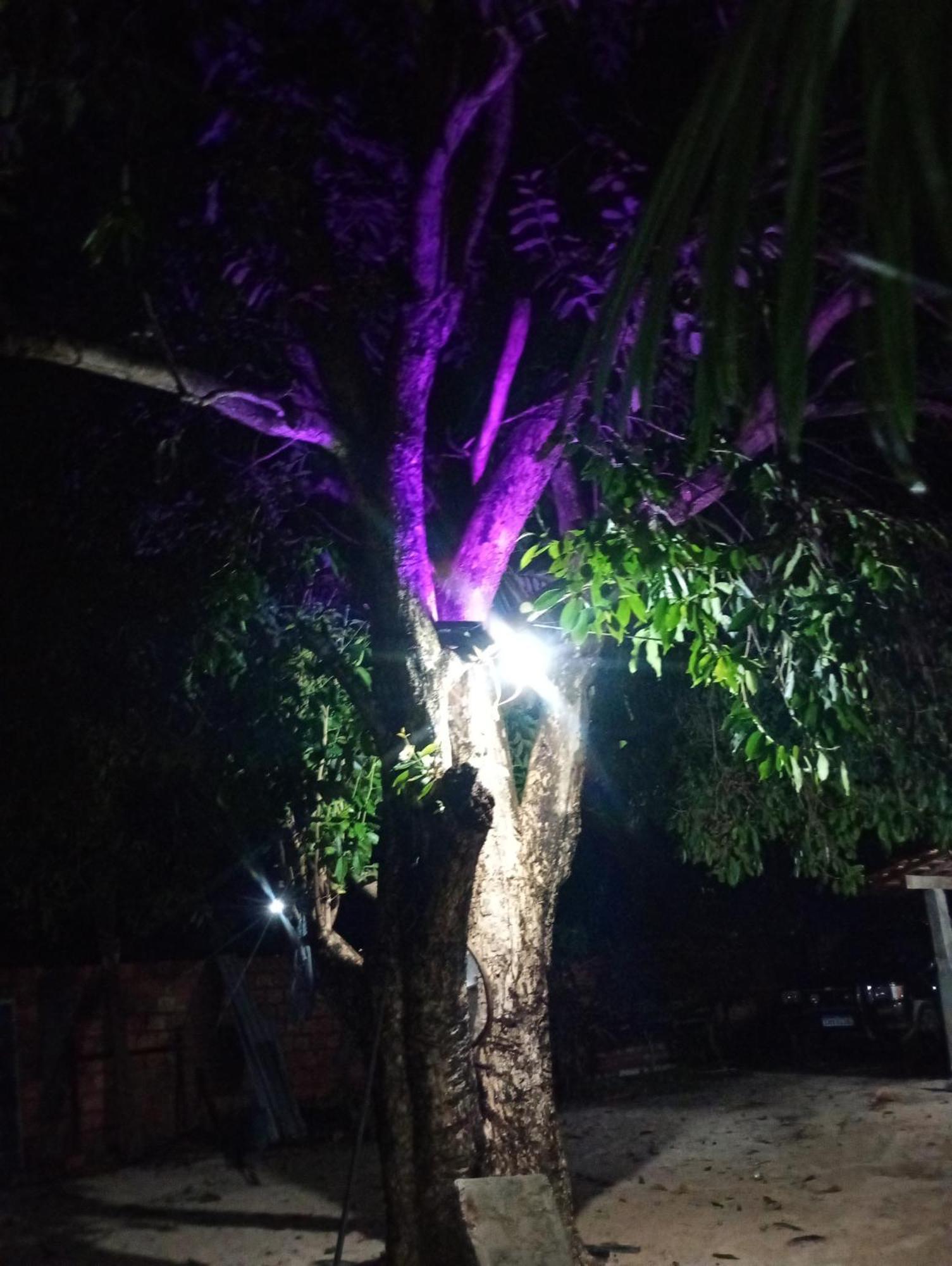 Hostel E Camping Na Rua Das Flores Santo Amaro do Maranhao Dış mekan fotoğraf