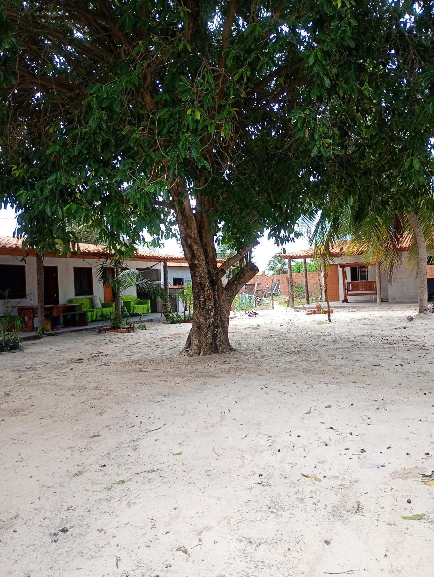 Hostel E Camping Na Rua Das Flores Santo Amaro do Maranhao Dış mekan fotoğraf