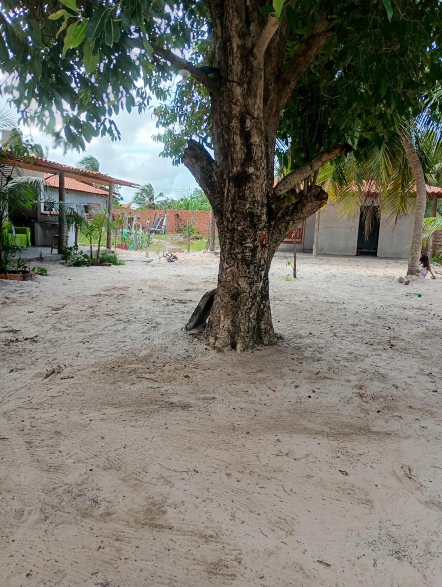 Hostel E Camping Na Rua Das Flores Santo Amaro do Maranhao Dış mekan fotoğraf